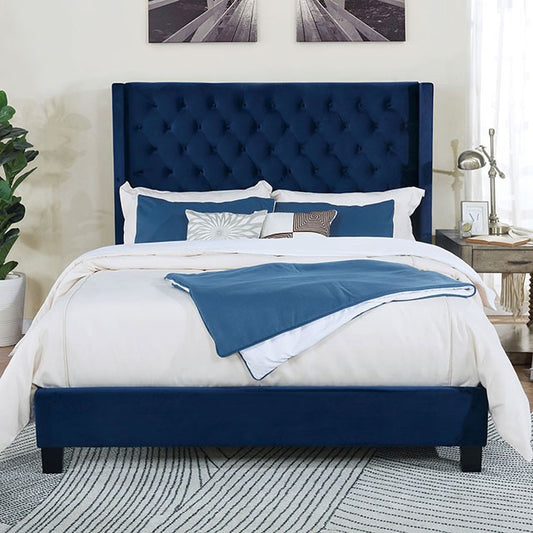 RYLEIGH, QUEEN BED FRAME NAVY BLUE,  FM7141NV