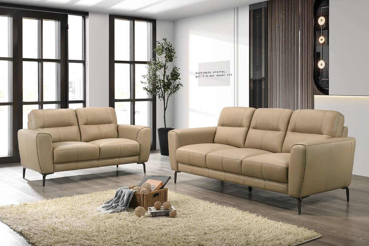 2 Pieces sofa set leather taupe, F8420