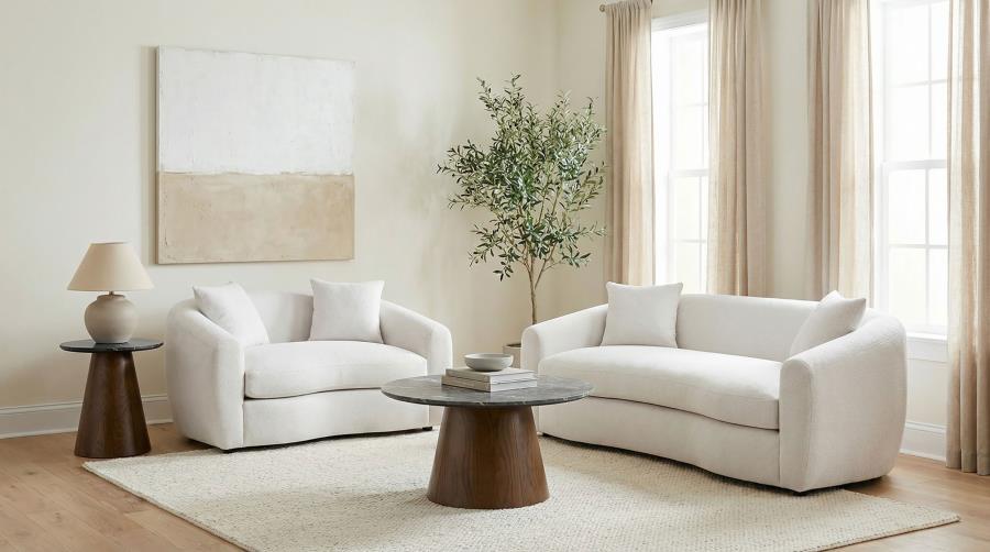 COASTER, ISABELLA II  2 PIECES  UPHOLSTERED SOFA SET, 509971-S2